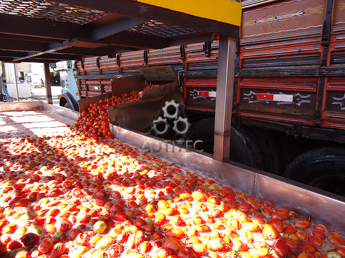 Caixa de Recepção e Lavador Tipo Borbulhador Combinado com Sistema de Transportador de Taliscas para Frutos Lavados